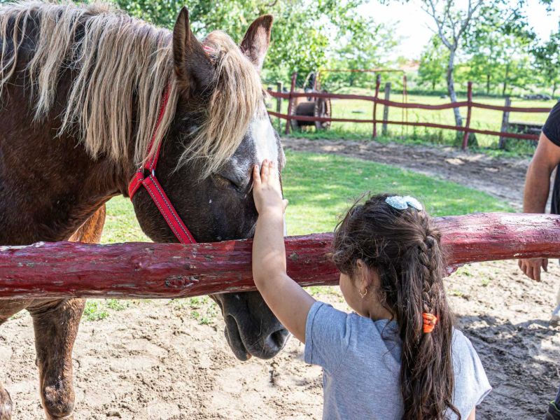 A Szerencsi Óvoda és Bölcsőde gyermekei egy felejthetetlen napot töltöttek május 21-én bekecsi lovas